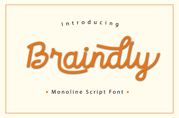 How Braindly Font Gave My Small Business a Polished New Look