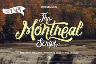 Montreal Script Font: A Hands-On Web Design Review