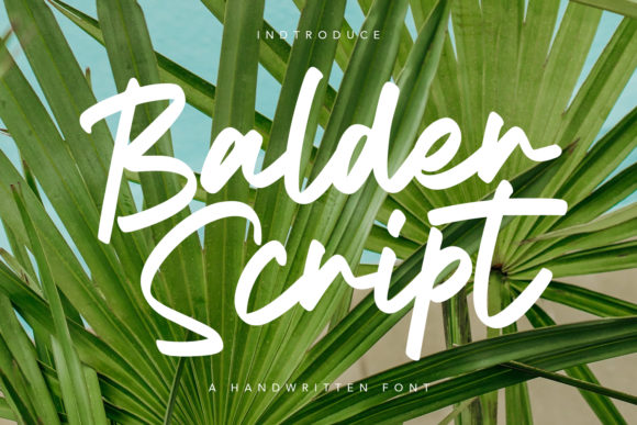 Why Balder Script Gives Your Small Business a Polished Look