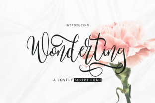 Wonderting Script: A Playful Typeface That Elevates Digital Branding